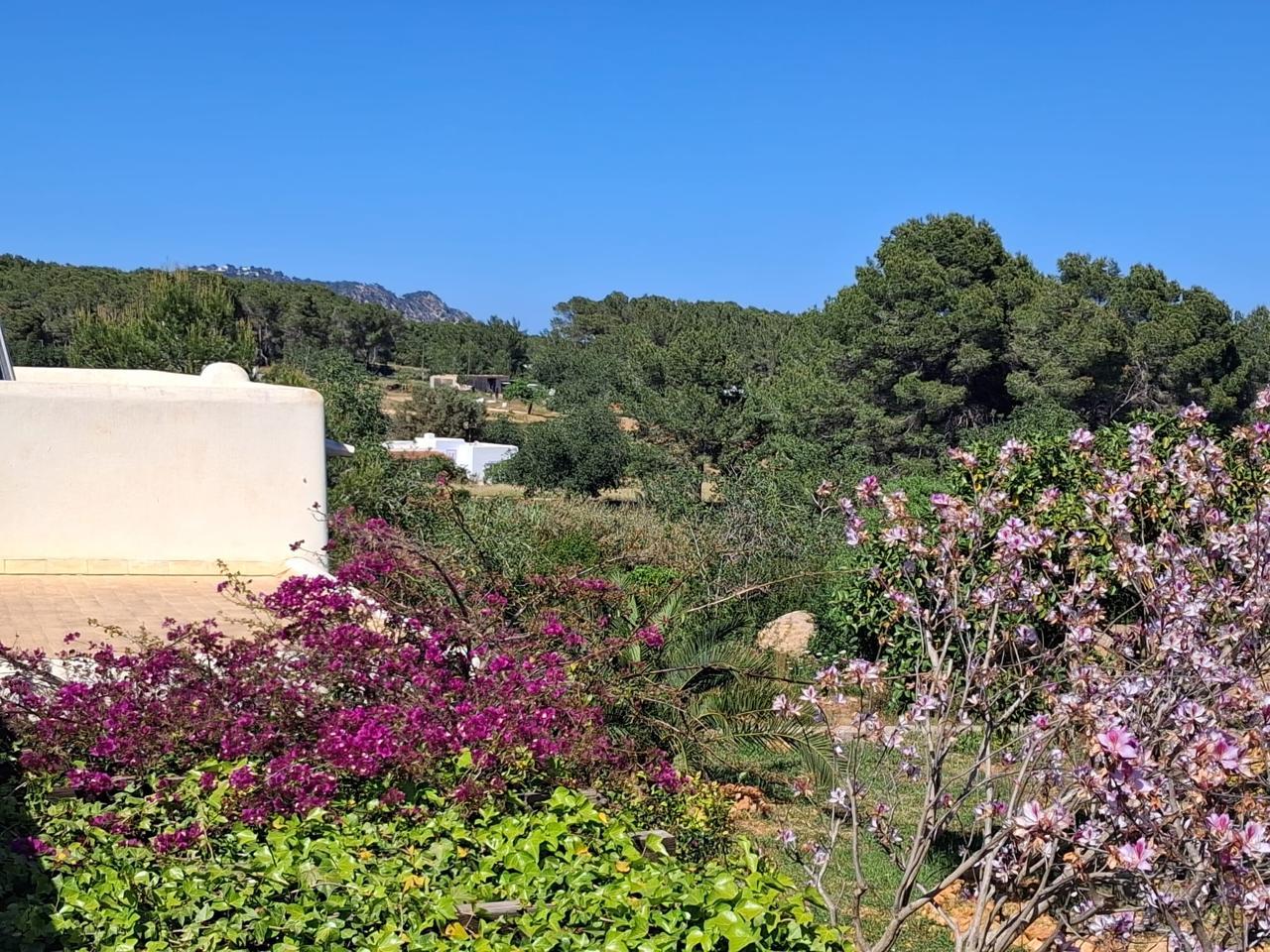Foto 13 van Charming Rustic Estate in Sant Carles
